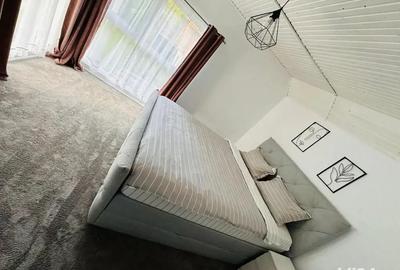 Casa de Vanzare Valiug Crivaia + Teren - 1