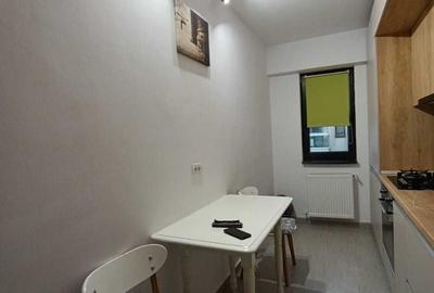 Apartament 2 camere Novul Lacul Morii - 9