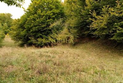 Teren de 15355 mp, în Central