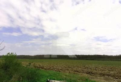 Teren de 5322 mp, în Gruiu - 2