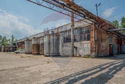Spațiu industrial, de 12,000 mp, în Periferie - 15