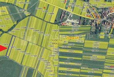 Teren de 2548 mp, în Zărnești - 6