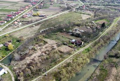 Teren intravilan Balint 22.500 mp - 13