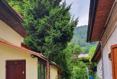 Ofer spre inchiriere apartament 2 camere ultracentral - 3