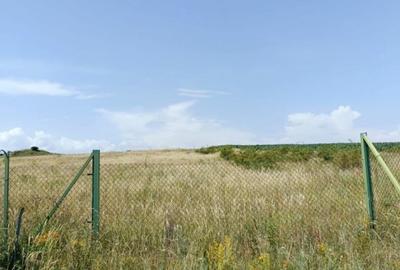 Teren extravilan Cluj, 1100 mp, apa si curent la limita proprietatii - 5