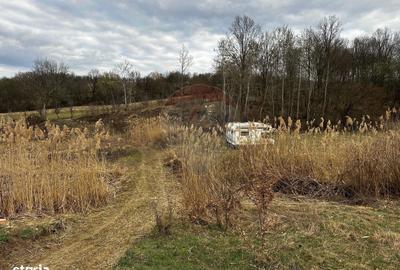 Teren de 5240 mp, în Copalnic - 10