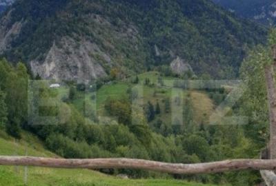 Teren 13.570 mp, Moieciu Pestera - 10