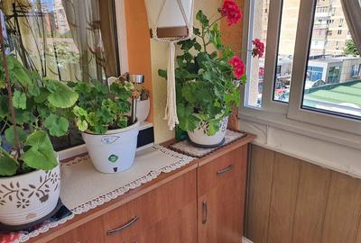 Apartament cu 3 camere decomandat în Ostroveni - 2
