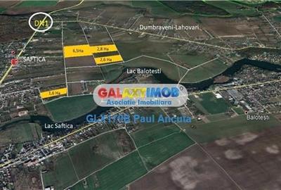 Teren Balotesti Saftica Lahovari 18200 mp rezidential - 3