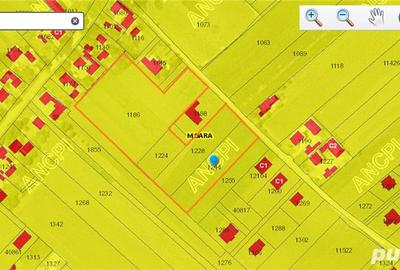 Teren de 12300 mp, în Moara - 7