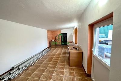 Spatiu Industrial/Depozitare/Hala - 6