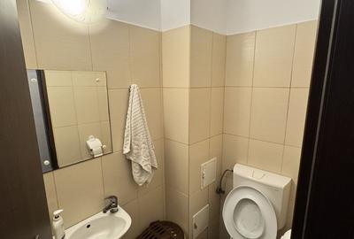 Apartament cu 3 camere decomandat, mobilat în Far - 9