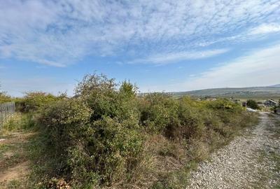 Teren Construcții intravilan de 500 mp, în Lunca Cetățuii - 2