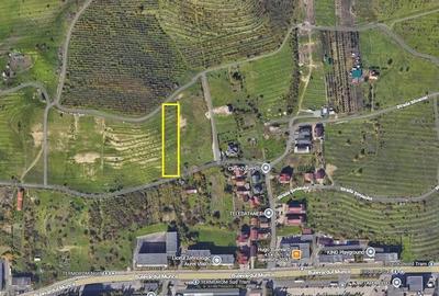 Teren de 3600 mp, în Central