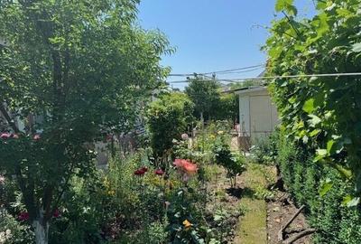 Corabia Olt, casa de vanzare 4 camere - 3