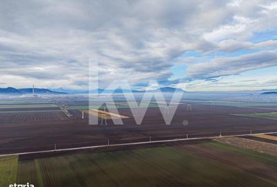 Teren de 16000 mp, în Hărmanului - 3