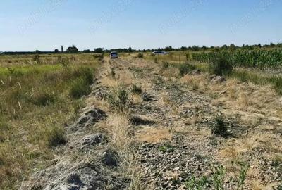Teren de 1000 mp, în Păușa - 2