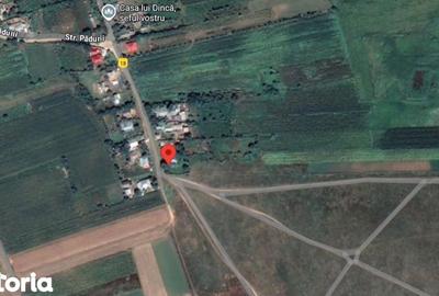 Casă cu 3 camere cu Teren 3487 Mp în Tănăsoaia - 7