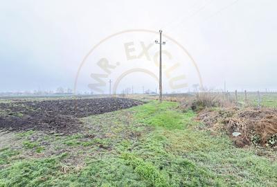 Terenuri intravilane 4.454 mp Drum DN 1F - Loc. Ghenci - Jud. Satu Mare - 5