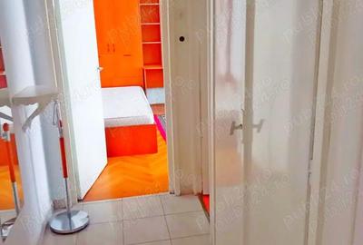 Iosefin - apartament cu 1 camera Iosefin - apartament cu 1 camera - 6