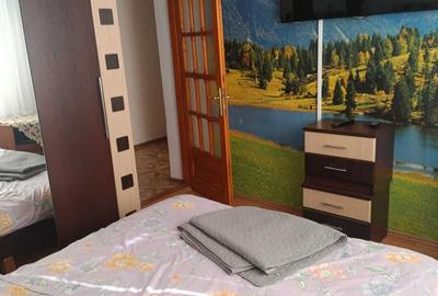 Apartament cu 3 camere nedecomandat în Bran - 7