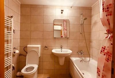 PROPRIETAR Garsoniera de vanzare Aleea Botorani, Prosper 13 Sepembrie - 9