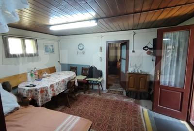 Cabana 5 camere Salard - 11