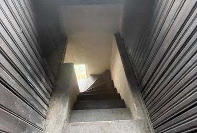 Villa Interblica - Parcul Carol Villa Interblica - Parcul Carol - 46