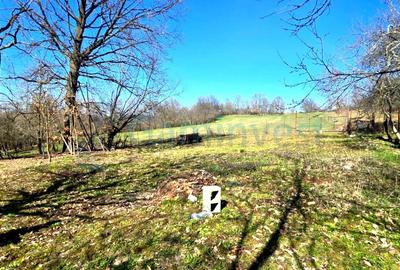 Casă individuală cu 4 camere cu Canalizare în Coșdeni - 10