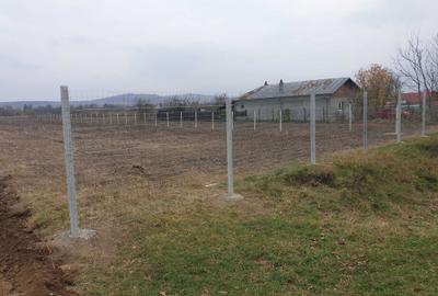 Teren de 8071 mp, în Lipănești - 11