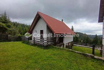Cabana P+M in statiunea Muntele Baisorii - zona linistita, ideala pentru