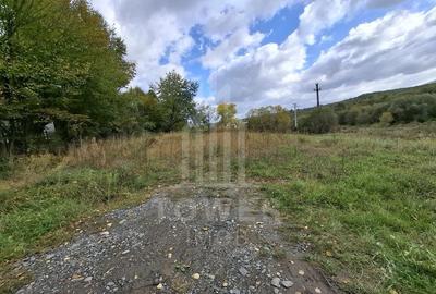 Teren intravilan cu Puz si priveliște deosebită, spre Cetatea Cisnădioara - 11