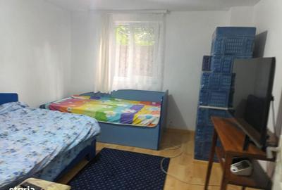 Casă cu 4 camere în Baisa - 8