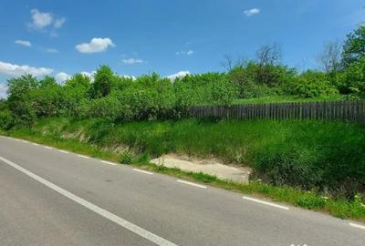 Teren de 1490 mp, în Miroslava - 5