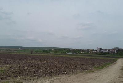 Teren de 7985 mp, în Beharca - 4