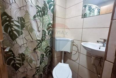 Apartament cu 1 camere decomandat, mobilat în Vasile Aaron - 5