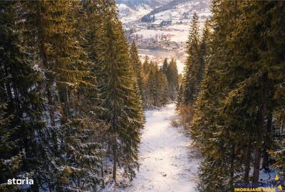 Spațiu comercial, în Lunca - 4