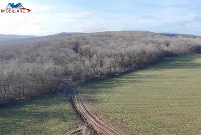 Teren de 1000 mp, în Telița - 1