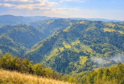 Teren de vanzare priveli?te superba | Acces drum | Forma regulata - 9