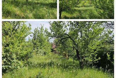 Teren în Tomești - 5