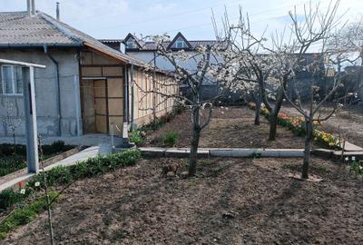 Casă cu 4 camere cu Teren 1000 Mp în Medgidia - 6