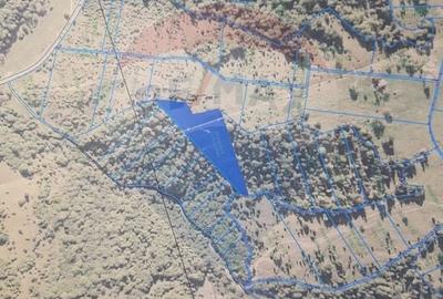 Teren Construcții extravilan de 14250 mp, în Nord-Est - 2