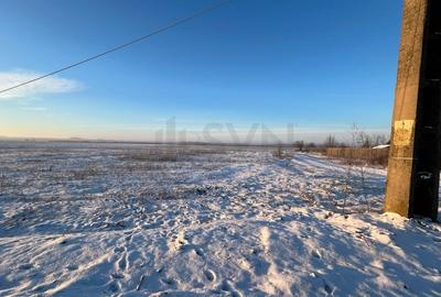 Teren agricol extravilan de 6000 mp, în Ionești - 3