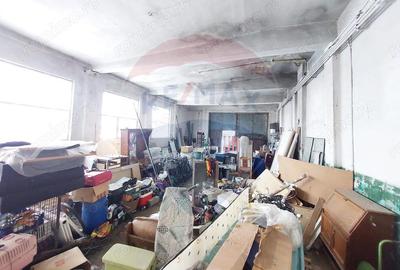 Casă cu 5 camere cu Teren 7531 Mp în Sacu