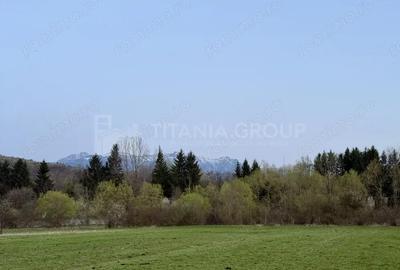 Teren de 7838 mp, în Zărnești - 5