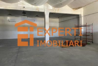 Hala situata in zona iNDUSTRIALA, - 7