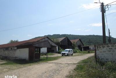 Teren de 12579 mp, în Dalboșeț - 2