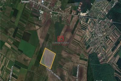 Teren de 235000 mp, în Tărtășești