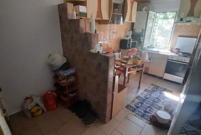 Apartament cu 2 camere semidecomandat, mobilat în Podu Roș - 9