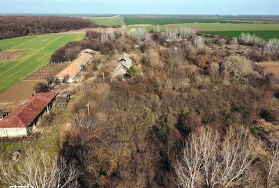 Spațiu comercial, în Nuci - 20